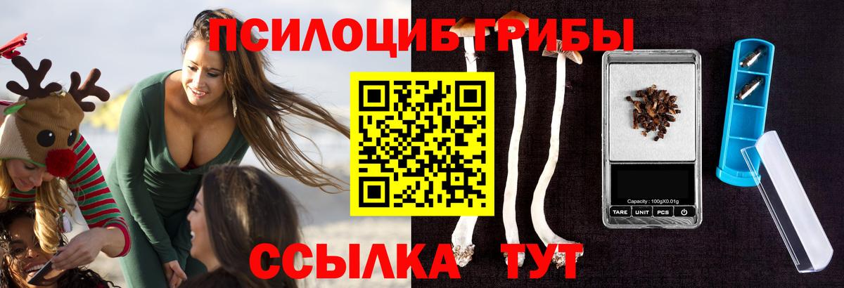 Галлюциногенные грибы мухоморы Гулькевичи