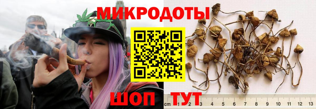 Галлюциногенные грибы Cubensis  закладка  Гулькевичи  Вход с VPN 